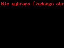 Grzejnik pokojowy Tesi 4 - IRSAP_1